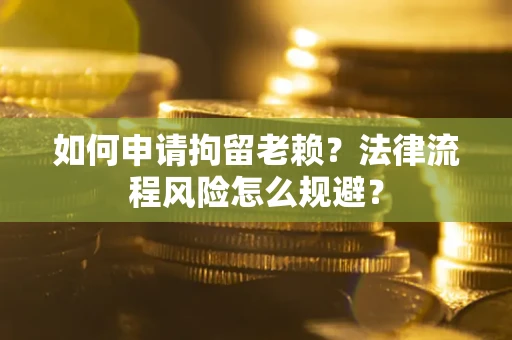 武汉如何申请拘留老赖？法律流程风险怎么规避？