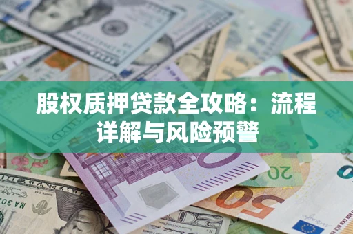 武汉股权质押贷款全攻略：流程详解与风险预警