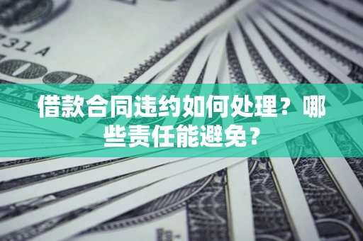武汉借款合同违约如何处理？哪些责任能避免？