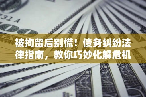 武汉被拘留后别慌！债务纠纷法律指南，教你巧妙化解危机