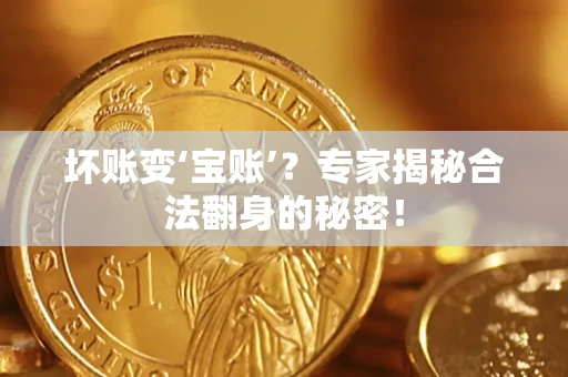 武汉坏账变‘宝账’？专家揭秘合法翻身的秘密！