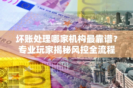 武汉坏账处理哪家机构最靠谱？专业玩家揭秘风控全流程