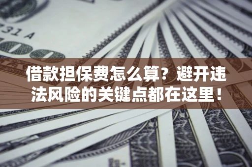 武汉借款担保费怎么算？避开违法风险的关键点都在这里！