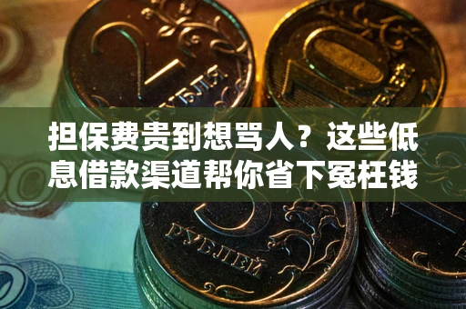 武汉担保费贵到想骂人？这些低息借款渠道帮你省下冤枉钱