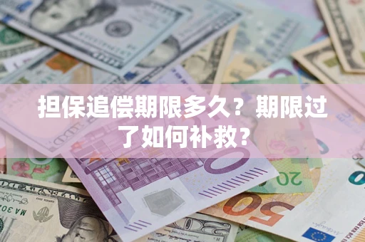 武汉担保追偿期限多久？期限过了如何补救？