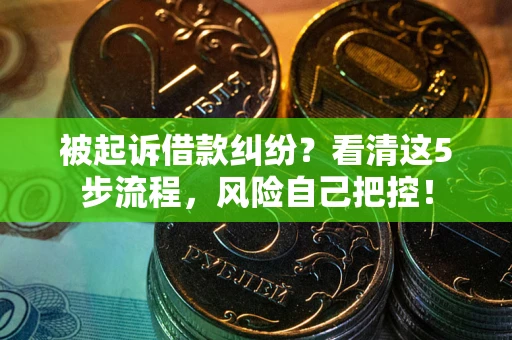 武汉被起诉借款纠纷？看清这5步流程，风险自己把控！