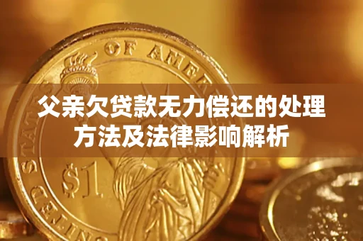 武汉父亲欠贷款无力偿还的处理方法及法律影响解析