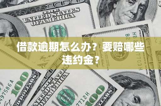 武汉借款逾期怎么办？要赔哪些违约金？