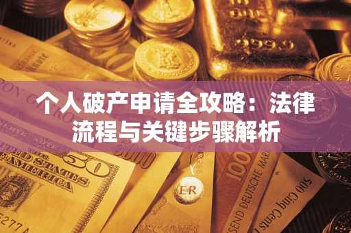 武汉个人破产申请全攻略：法律流程与关键步骤解析