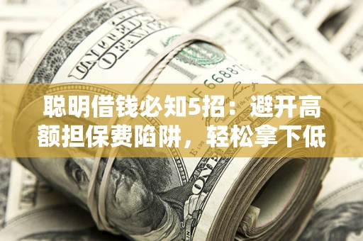 武汉聪明借钱必知5招：避开高额担保费陷阱，轻松拿下低息贷款