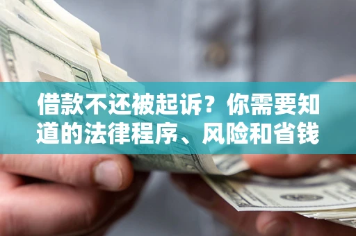 武汉借款不还被起诉？你需要知道的法律程序、风险和省钱技巧