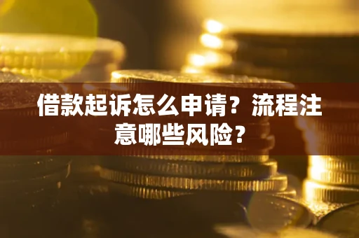 武汉借款起诉怎么申请？流程注意哪些风险？