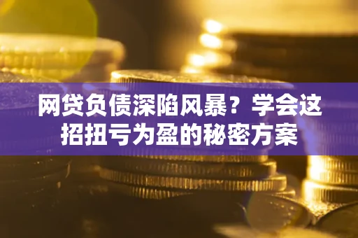 武汉网贷负债深陷风暴？学会这招扭亏为盈的秘密方案