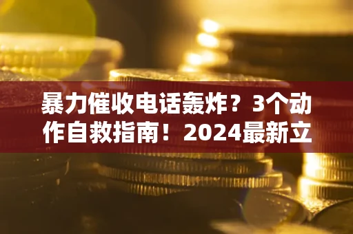 武汉暴力催收电话轰炸？3个动作自救指南！2024最新立案标准全解析