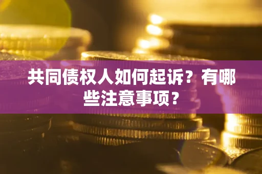 武汉共同债权人如何起诉？有哪些注意事项？
